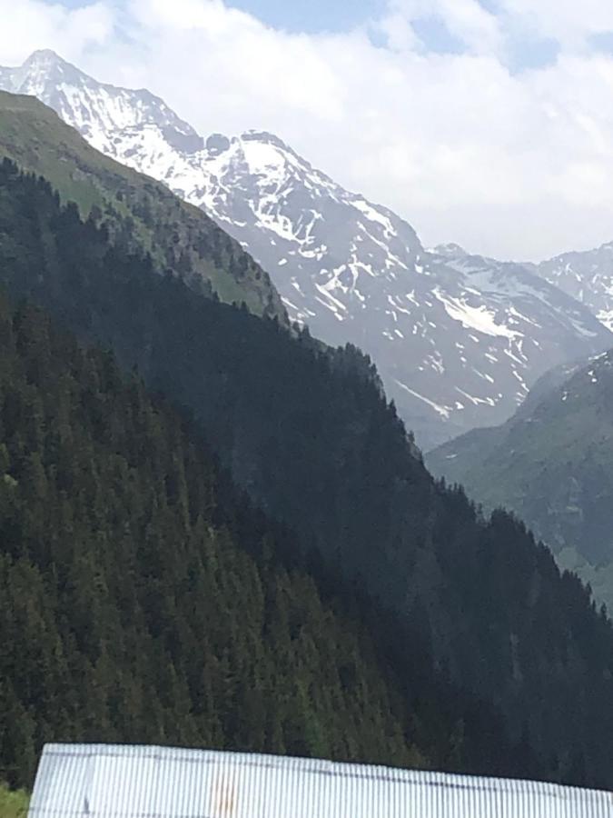 Hotel Grand-Combin Fionnay ภายนอก รูปภาพ